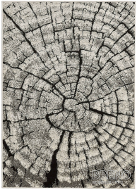 Kusový koberec Kusový koberec PHOENIX 6021 - 0244