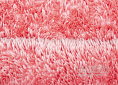 Kúpeľňová predložka RASTA MICRO NEW 60x110cm růžová-pink 60 110