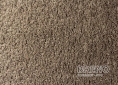 Kusový koberec DOLCE VITA 01/BBB 67 110