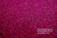 Kusový koberec ETON 80cm fialová kruh