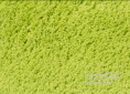 Kusový koberec SPRING green 60 110