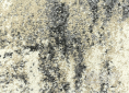 Kusový koberec DOUX 5501/IS2H 160 235
