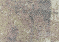 Kusový koberec DOUX 5501/IS2S 133 190