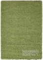 Kusový koberec DREAM SHAGGY 4000 Green 60 110