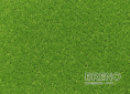 Kusový koberec ETON 100cm zelená kruh