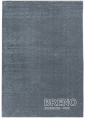 Kusový koberec RIO 4600 Silver 140 200