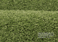 Kusový koberec LIFE 1500 Green 200 290