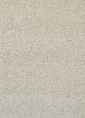 Metrážový koberec GLORIA 34 500 filc