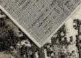 Kusový koberec PHOENIX 3062 - 0244 200 300