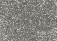 Metrážový koberec GLORIA 95 500 filc