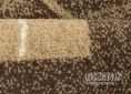 Kusový koberec PRACTICA HEATSET 54/DBD 160 230