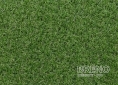  GIARDINO green 200 latex