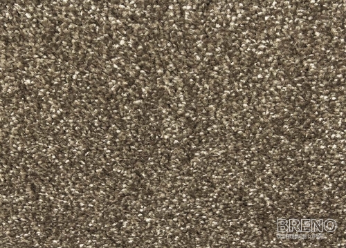Kusový koberec MONDO A9/DDD 120 170