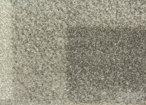Kusový koberec MONDO B7/BEB 120 170