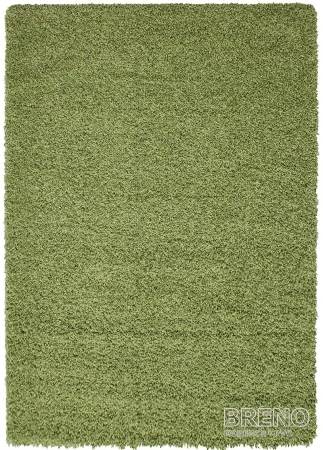 Kusový koberec DREAM SHAGGY 4000 Green 60 110