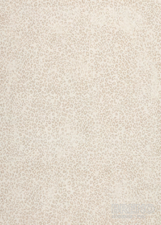 Kusový koberec PIAZZO 12268/100 120 170