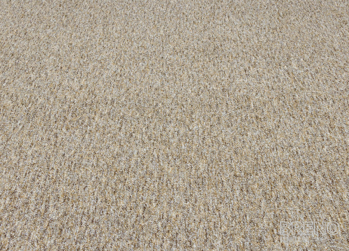 Metrážny koberec SAVANNAH 33 400 filc