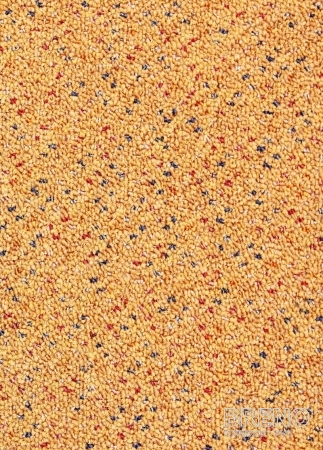 Metrážový koberec MELODY 012 500 filc