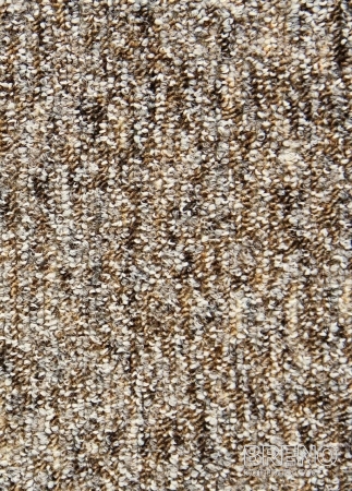 Metrážový koberec SAVANNAH 39 300 filc